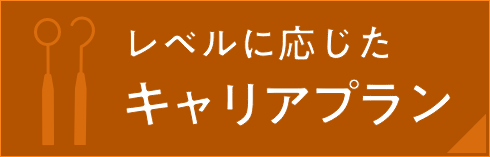 レベルに応じたキャリアプラン