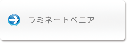 ラミネートベニア